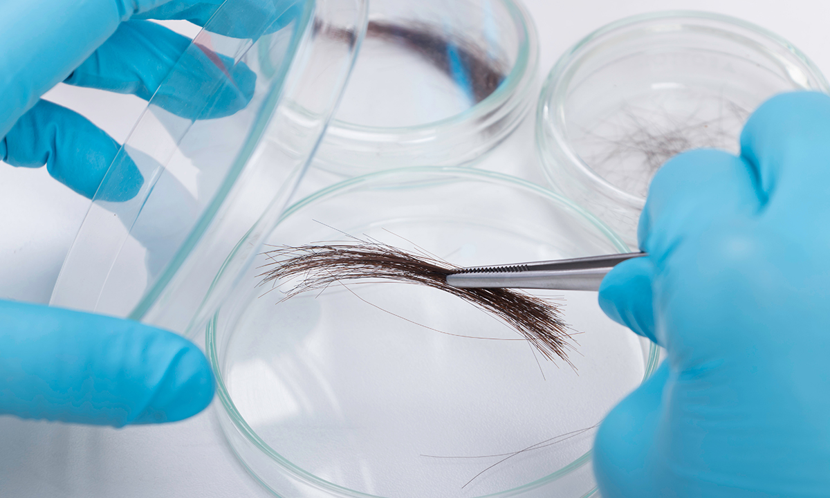 Datcs Hair Collection Training