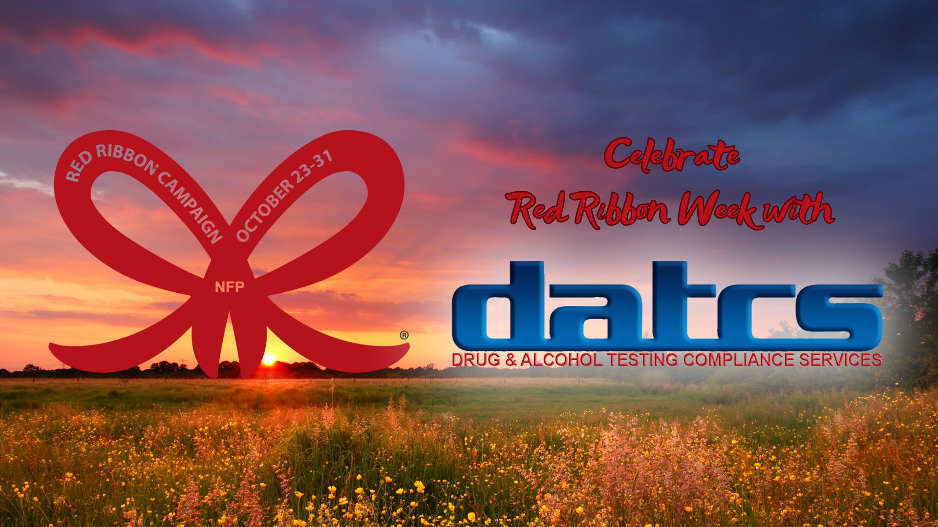 Celebrate Red Ribbon Week with