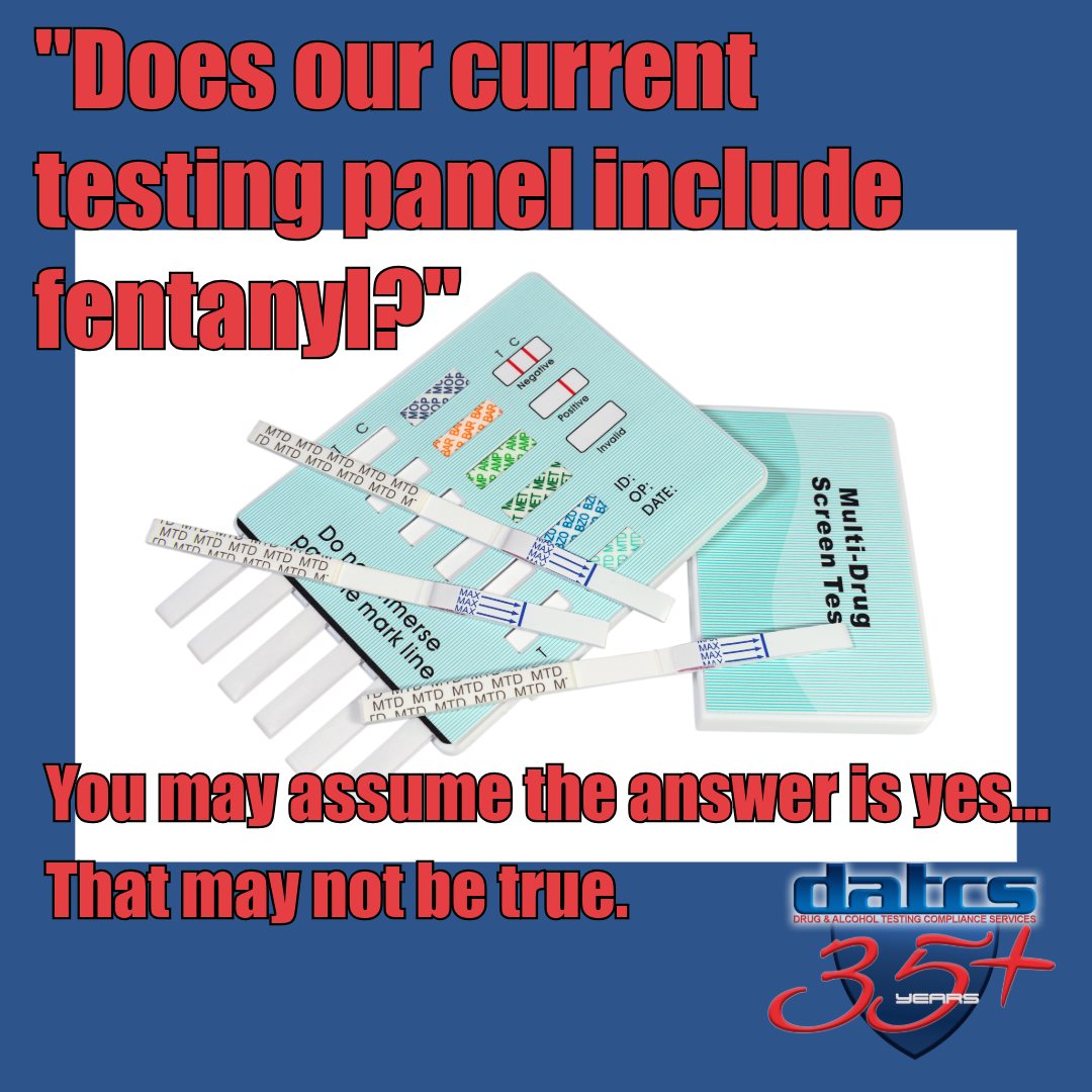 Employer reviewing workplace drug testing policy regarding fentanyl screening and workplace safety