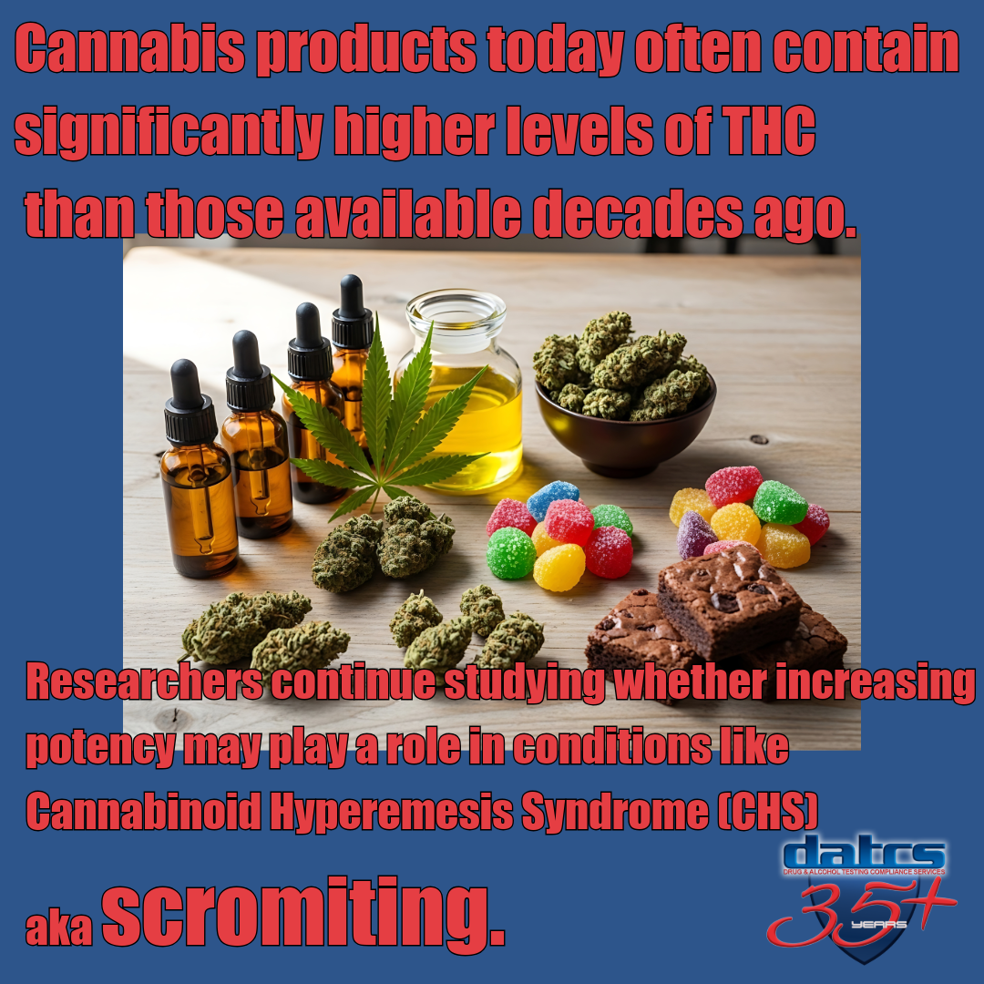 Cannabis flower, THC oils, edibles, and concentrates illustrating how modern cannabis products often contain higher THC levels associated with increased concern about Cannabinoid Hyperemesis Syndrome (CHS).
